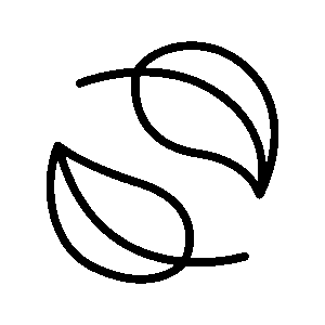Foglia