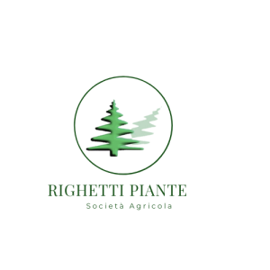 Logo sito